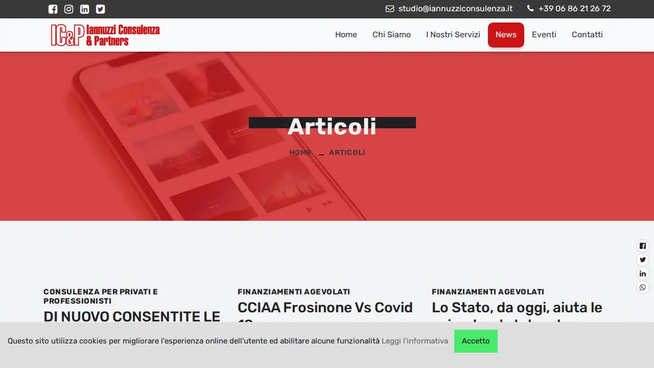 IANNUZZI CONSULENZA & PARTNERS page