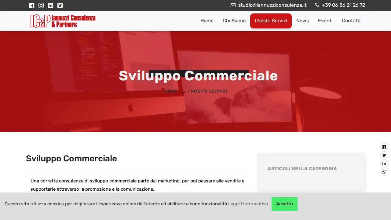 IANNUZZI CONSULENZA & PARTNERS page