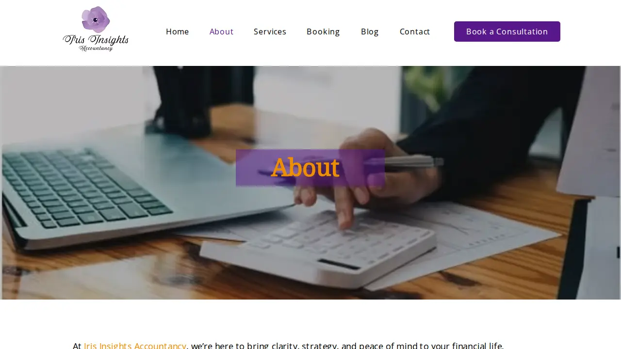 Iris Insights Accountancy page