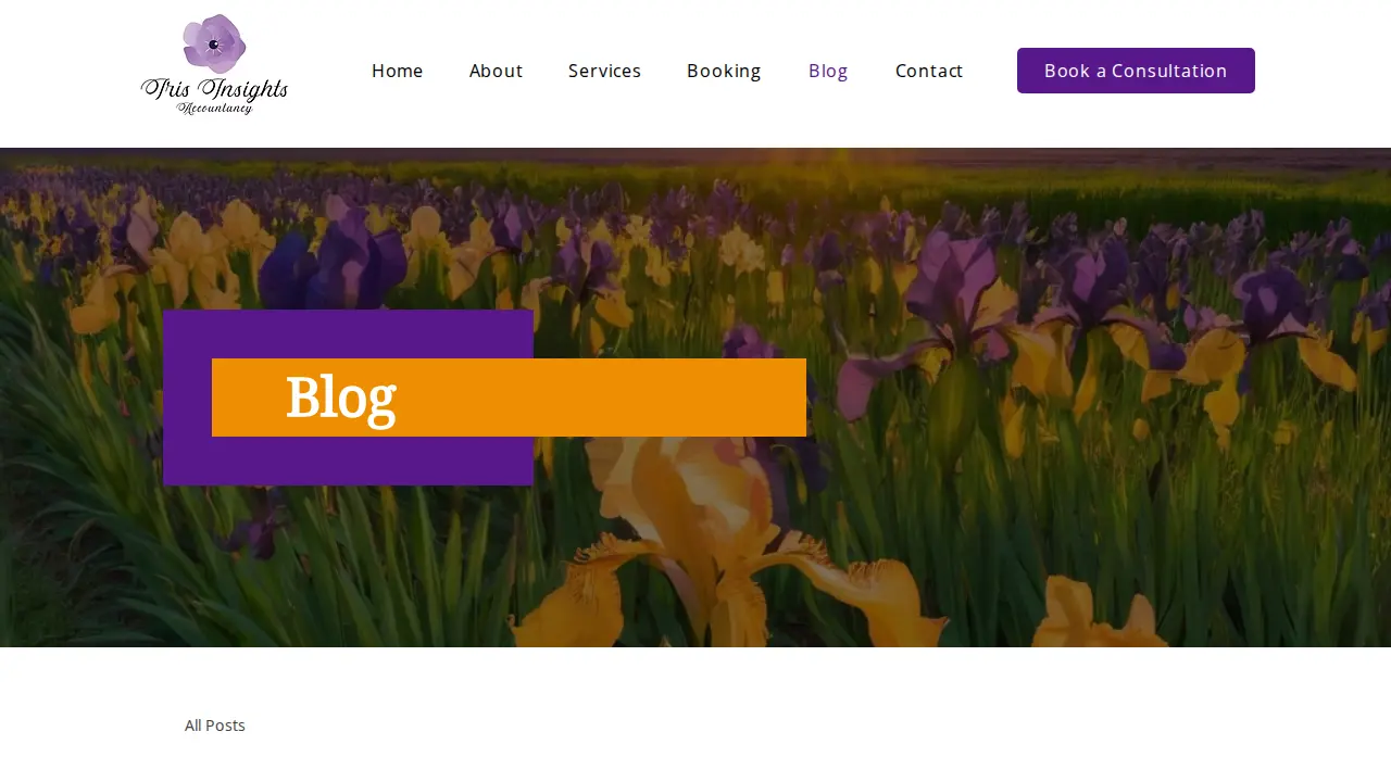 Iris Insights Accountancy page