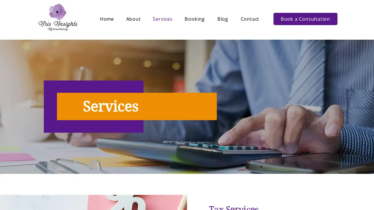 Iris Insights Accountancy page