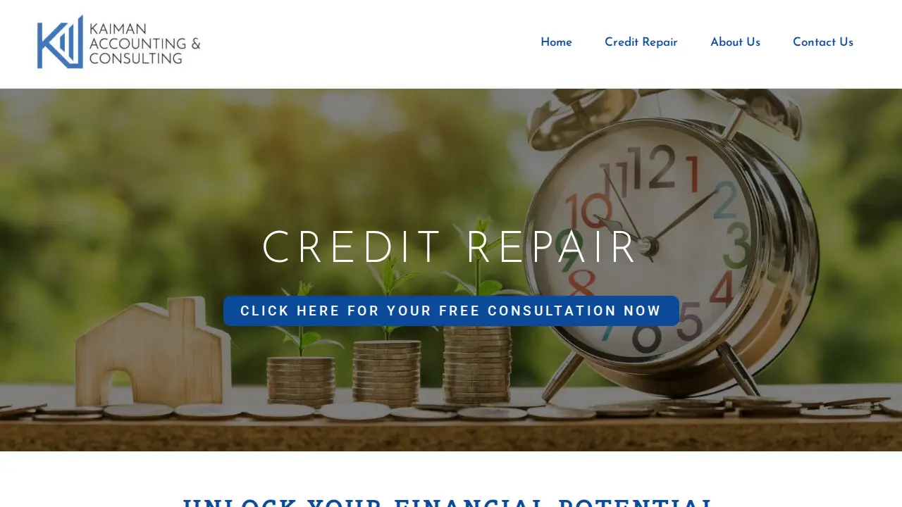 Kaiman Accounting & Consulting LLC page