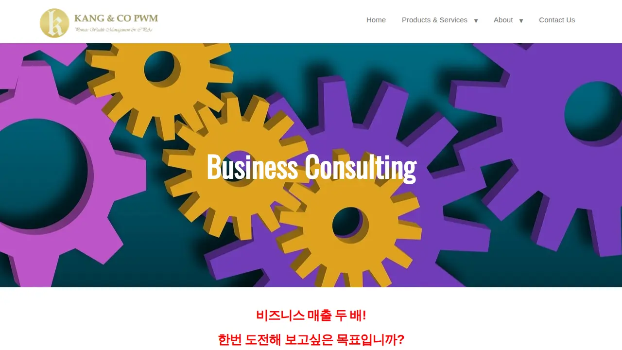Kang & Co CPAs page