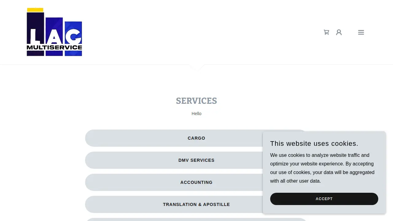 L.A.C MULTISERVICES CORP page