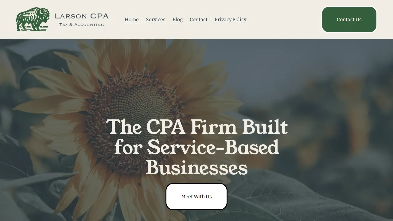 Larson CPA PLLC