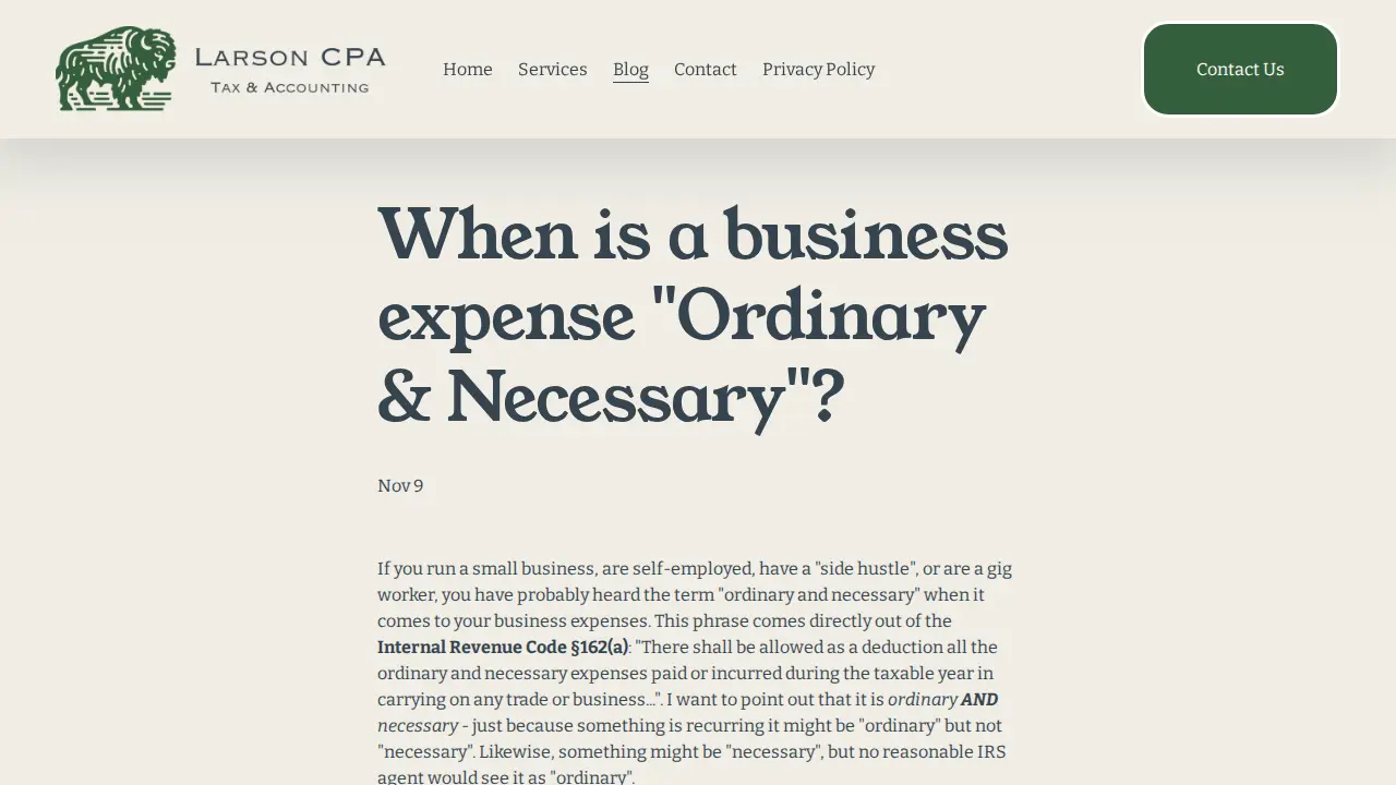 Larson CPA PLLC page
