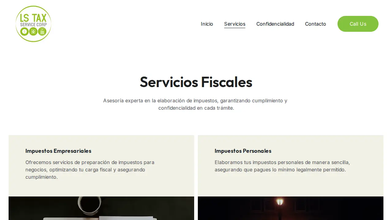 LS TAX SERVICES CORP page