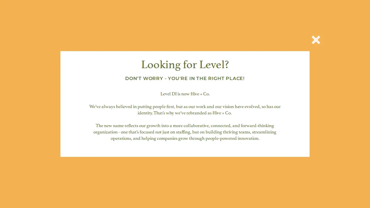 Level D&I Solutions
