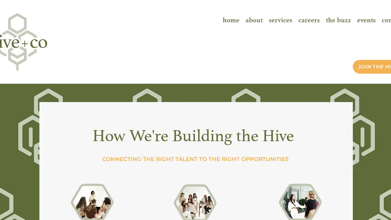 Level D&I Solutions page