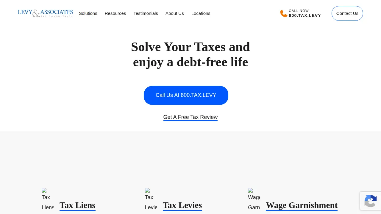 The Levy Group page