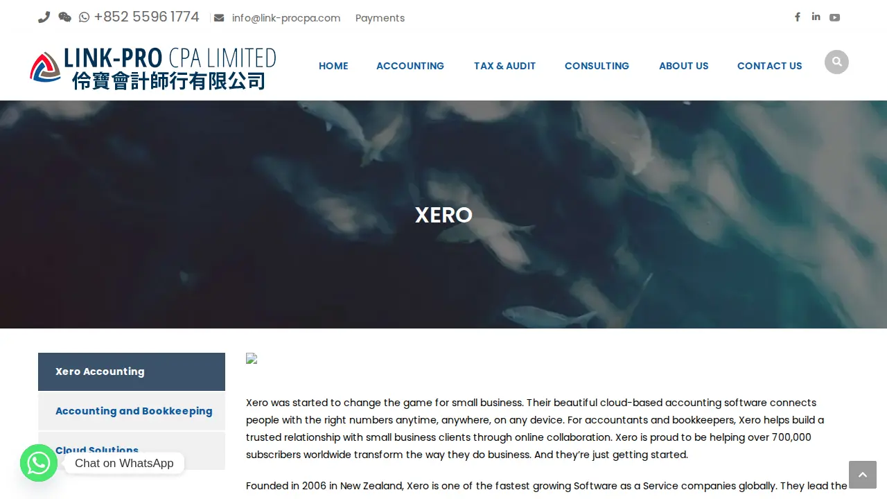 Link-Pro CPA Limited page