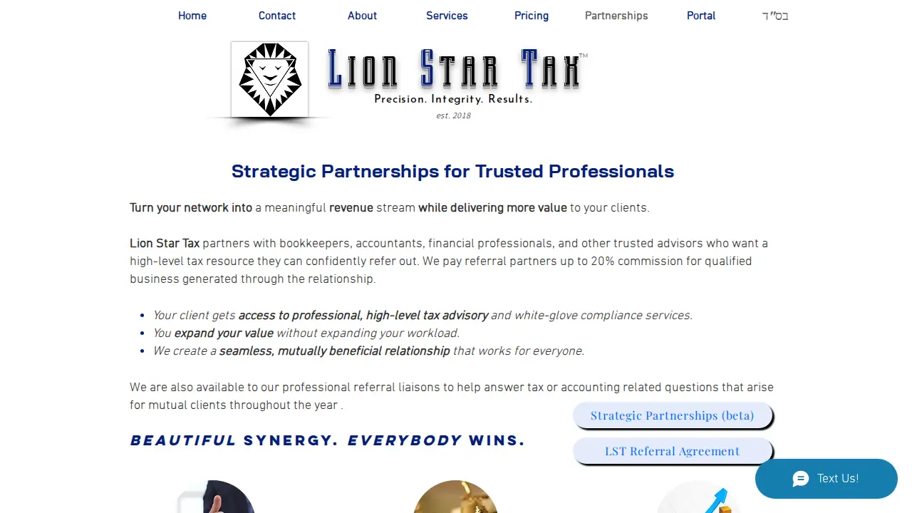 LST Lion Star Tax | Strategic Tax Advisors page