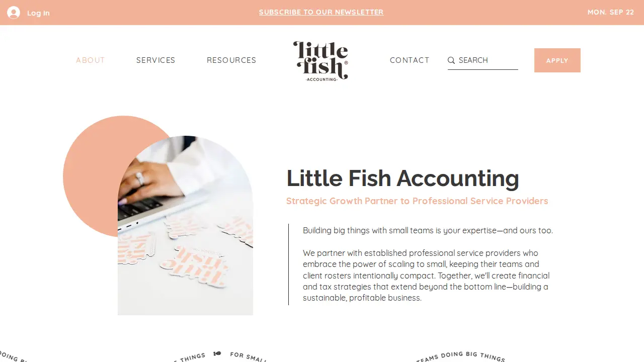 Little Fish Accounting page