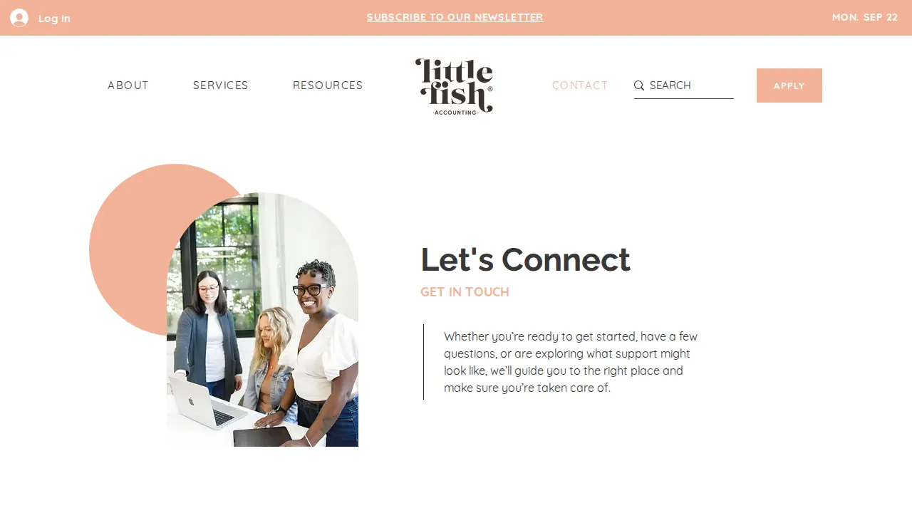 Little Fish Accounting page