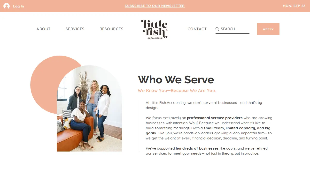 Little Fish Accounting page