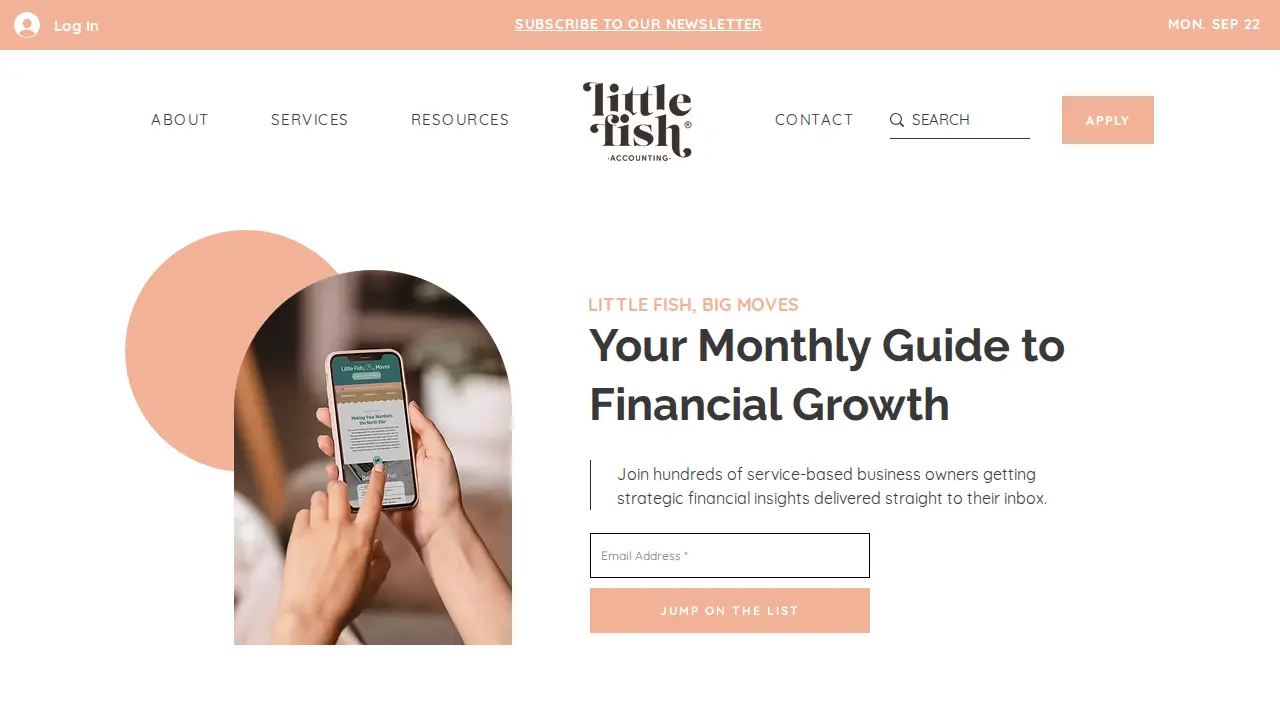 Little Fish Accounting page