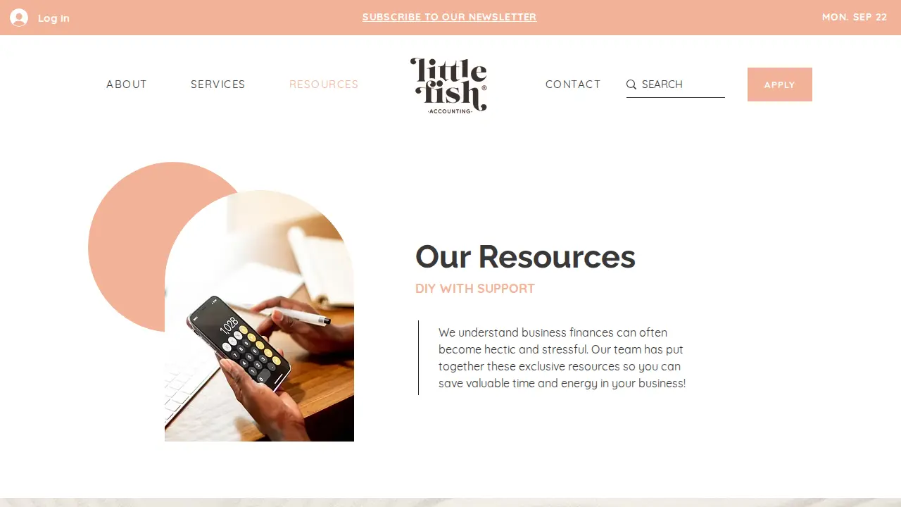 Little Fish Accounting page