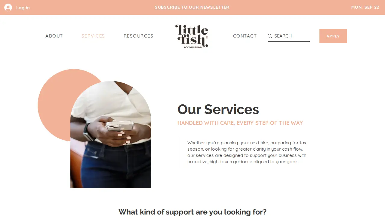 Little Fish Accounting page