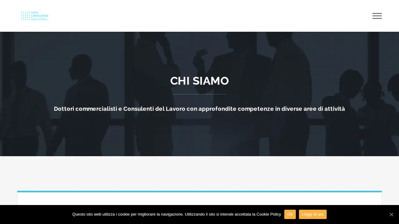 Vito Luna Dottore Commercialista page