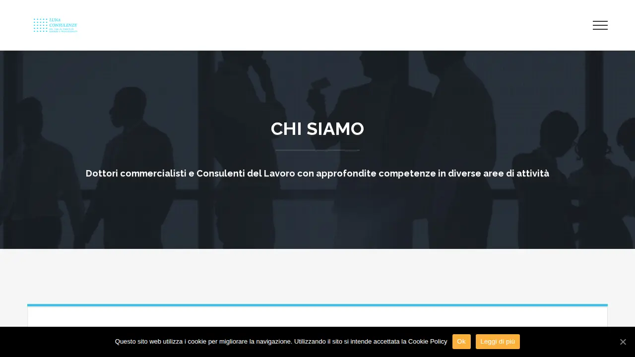 Vito Luna Dottore Commercialista page
