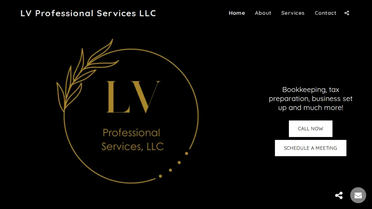 LV Professional Services