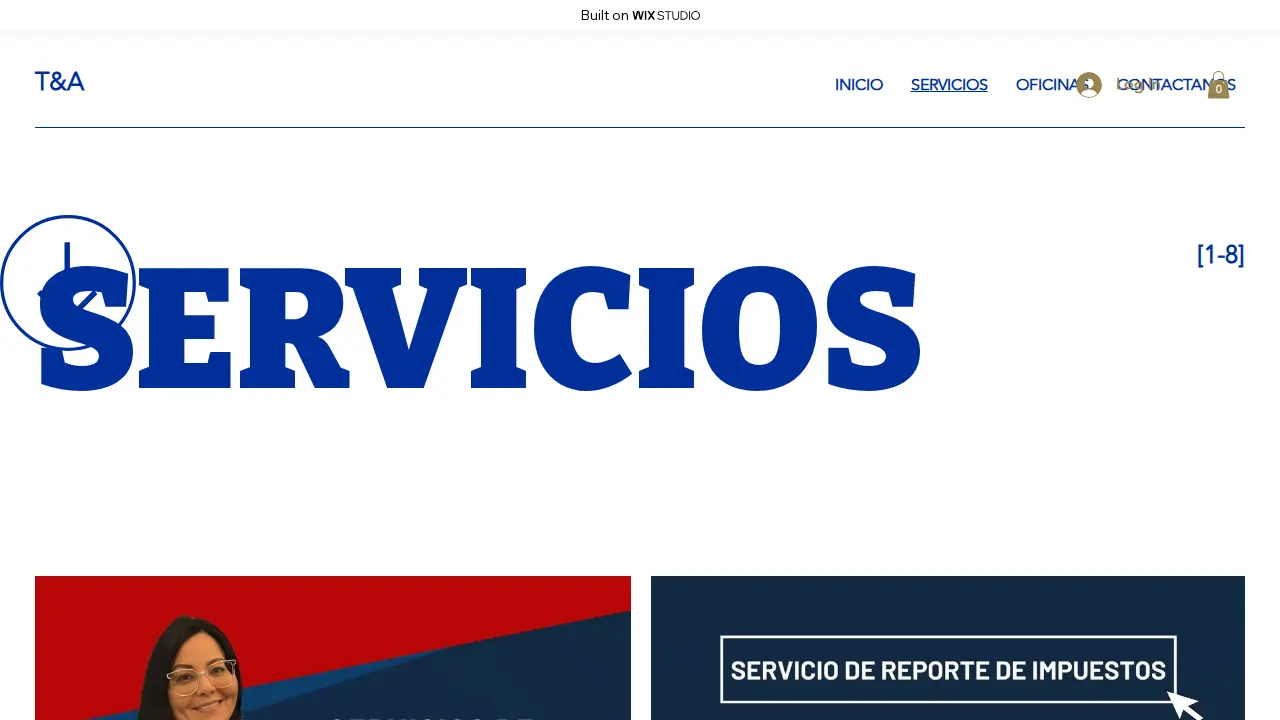 Multiservices T&A Corp page