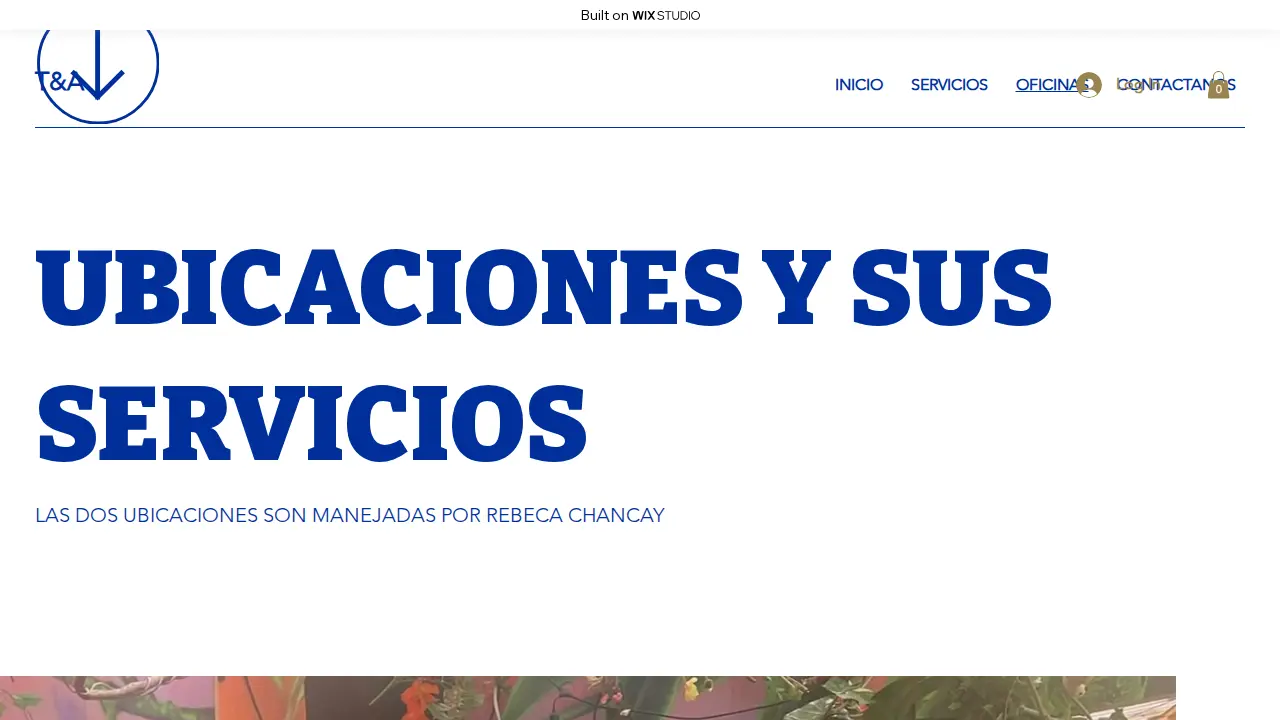 Multiservices T&A Corp page