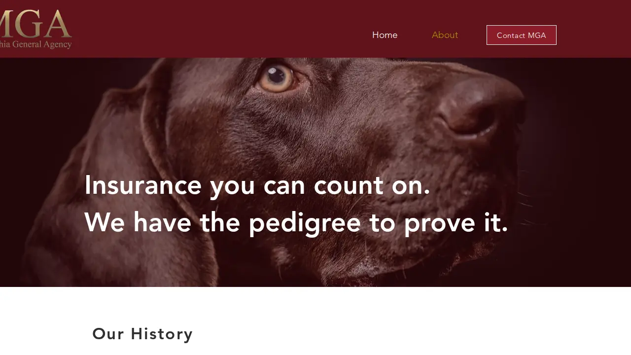 Macchia General Agency page