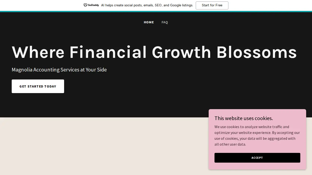 Big Picture Bookkeeping, LLC website