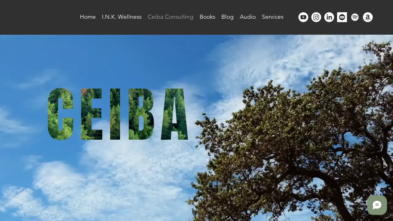 Ceiba Consulting page