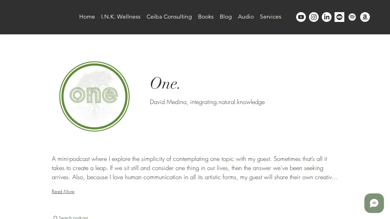 Ceiba Consulting page