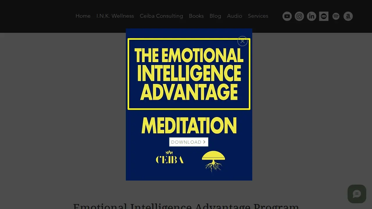 Ceiba Consulting page