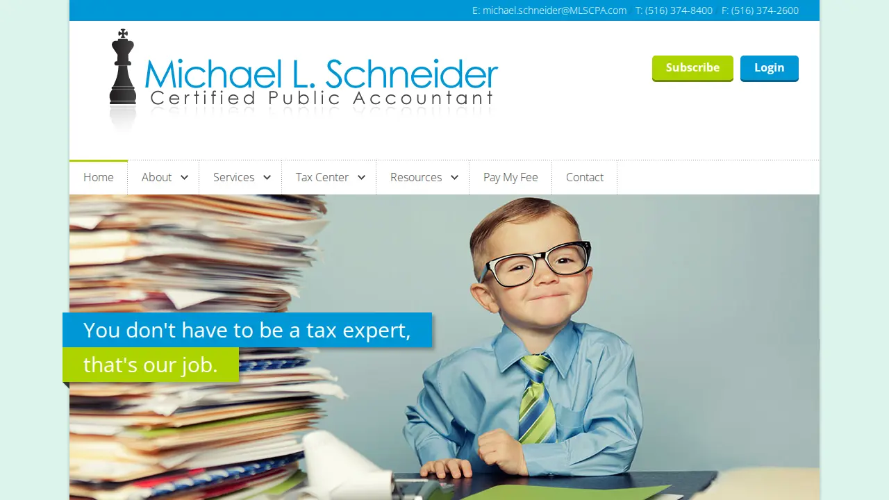 MICHAEL L SCHNEIDER CPA