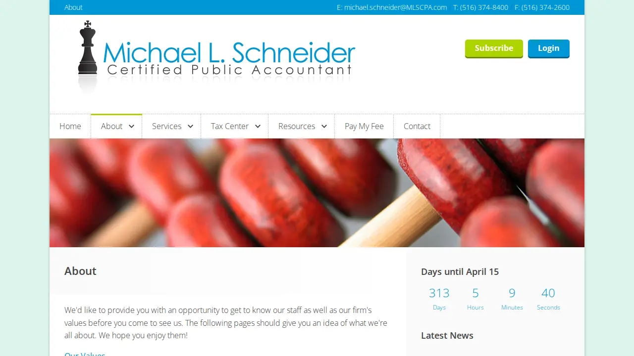 MICHAEL L SCHNEIDER CPA page