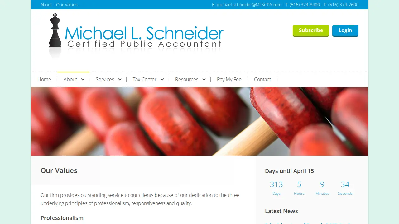 MICHAEL L SCHNEIDER CPA page