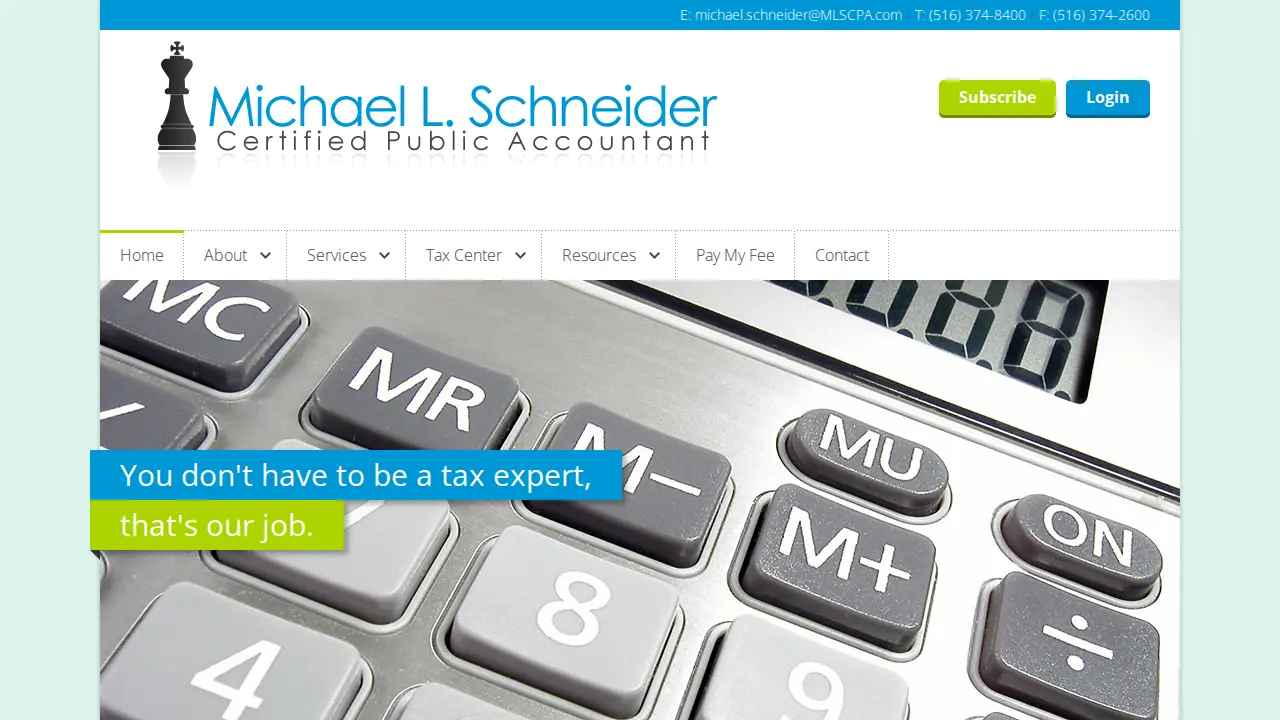 MICHAEL L SCHNEIDER CPA page
