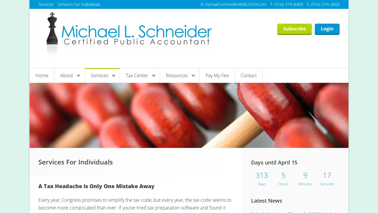 MICHAEL L SCHNEIDER CPA page