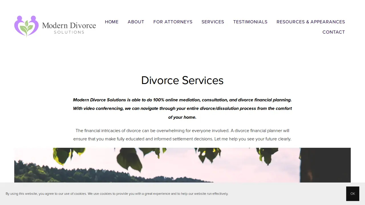 Modern Divorce Solutions page