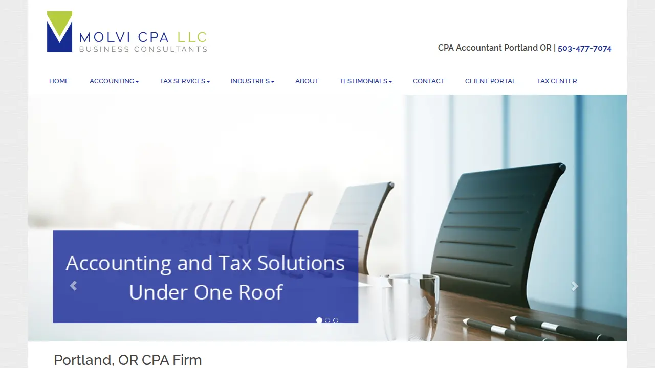 MOLVI CPA LLC page