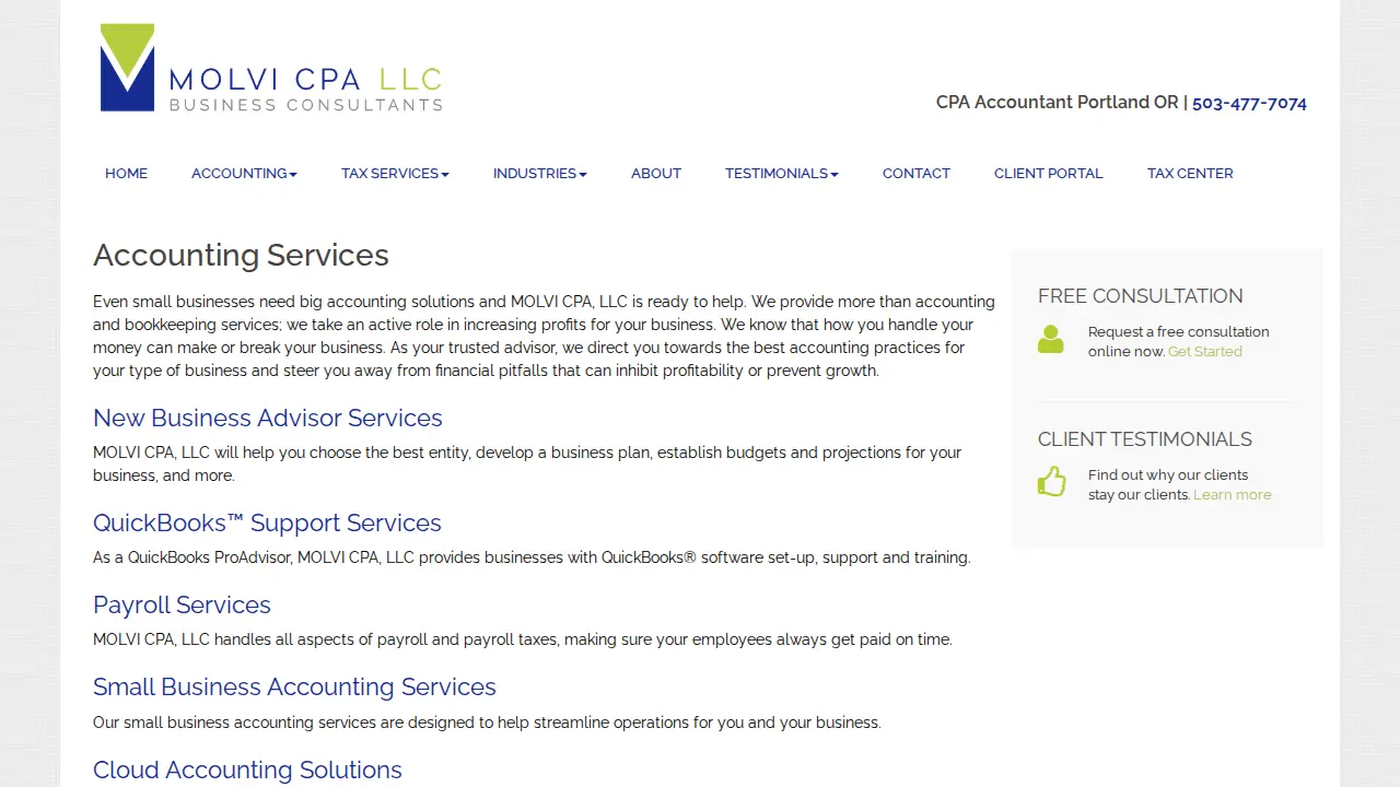 MOLVI CPA LLC page
