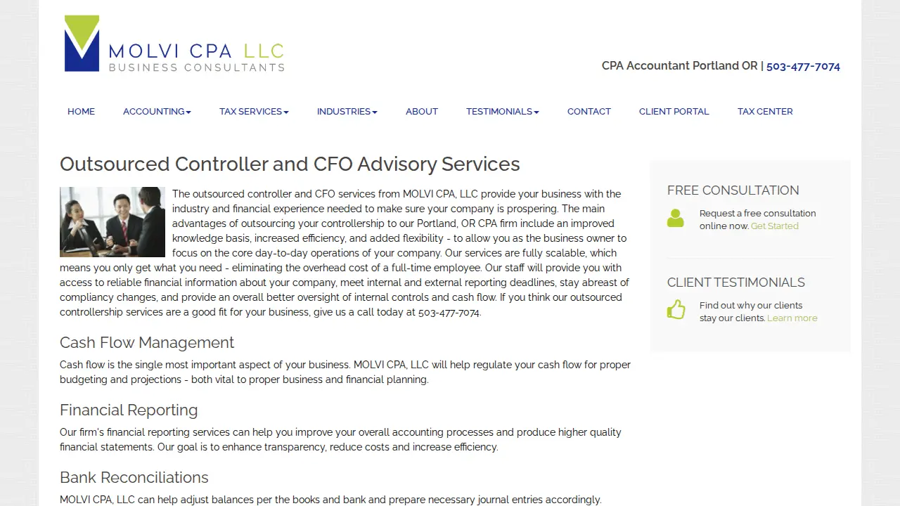 MOLVI CPA LLC page
