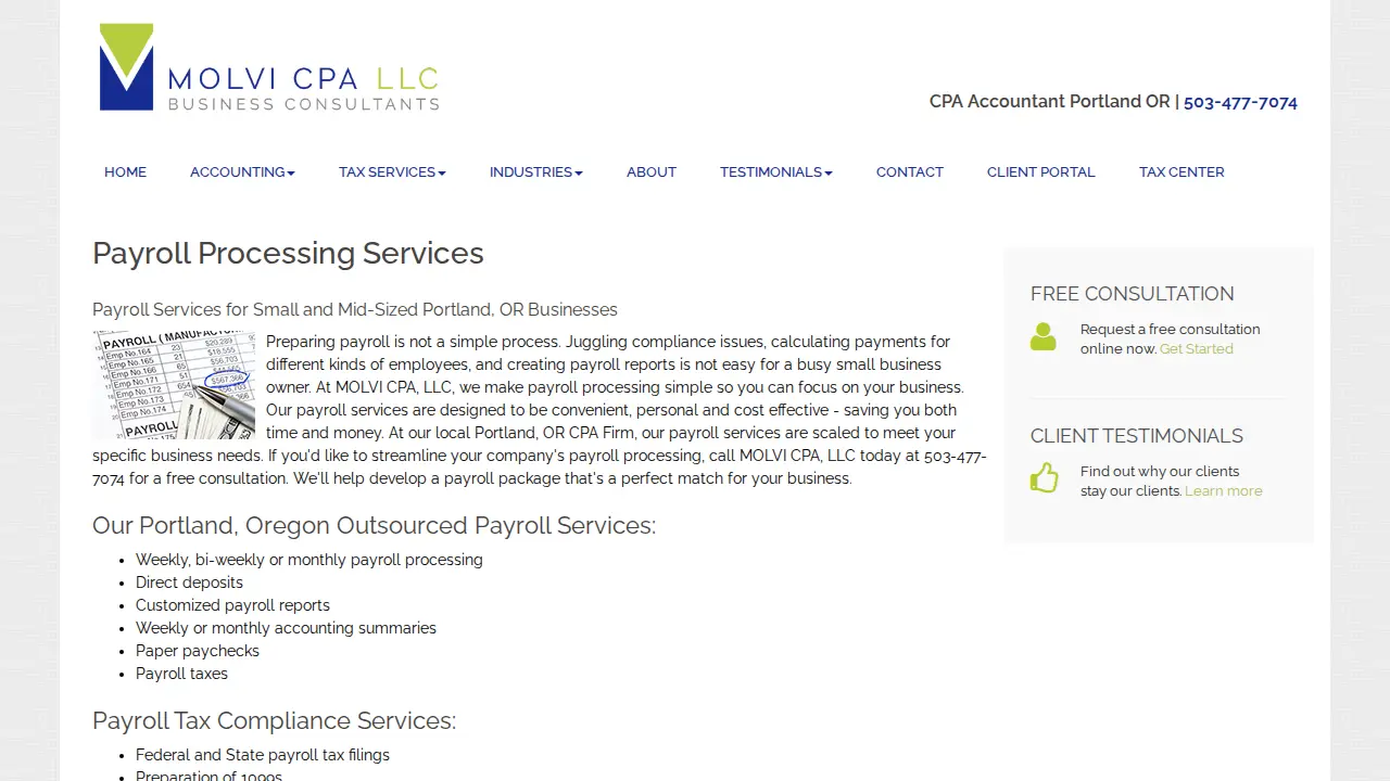 MOLVI CPA LLC page