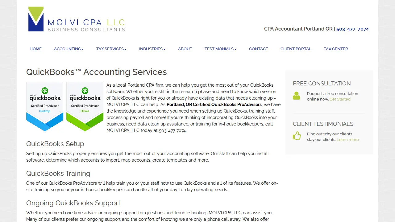 MOLVI CPA LLC page