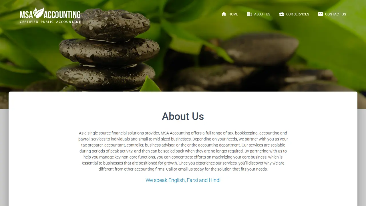 MSA Accounting page