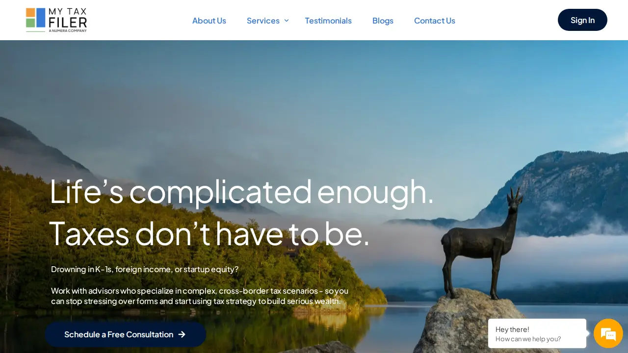 MyTaxFiler Plano