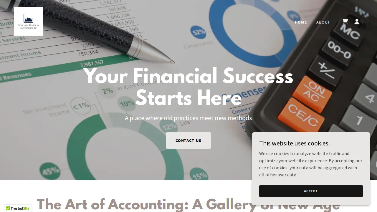 NEW AGE BUSINESS CONSULTANTS INC