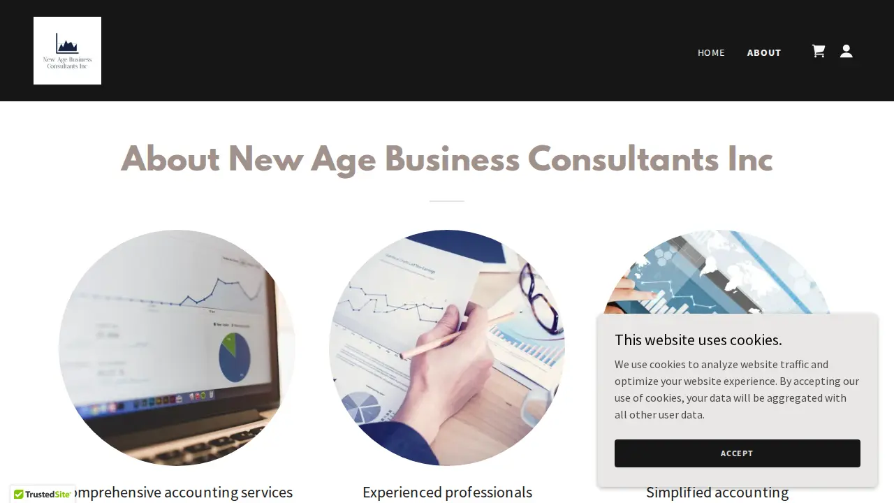 NEW AGE BUSINESS CONSULTANTS INC page
