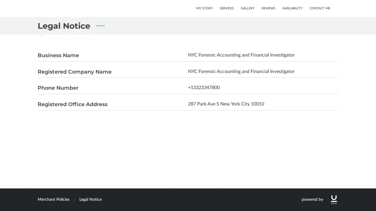 NYC Forensic Accounting and Financial Investigator page