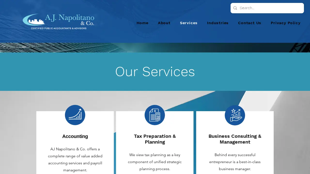A.J. Napolitano & Co. page