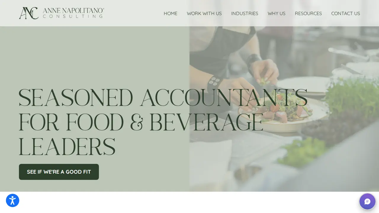 Anne Napolitano Consulting, Inc. - Business Accounting & Advisory Services